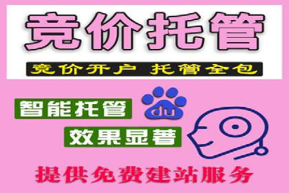 SEM竞价托管案例，助力企业业绩腾飞